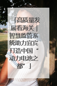 高质量发展看海关｜智慧监管系统助力宜宾打造中国“动力电池之都”