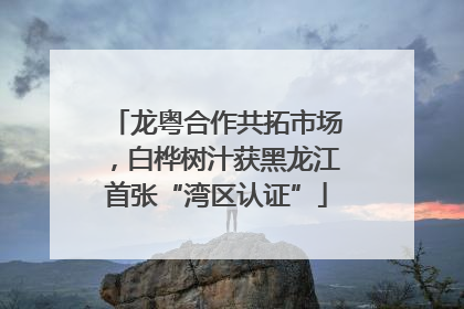 龙粤合作共拓市场，白桦树汁获黑龙江首张“湾区认证”
