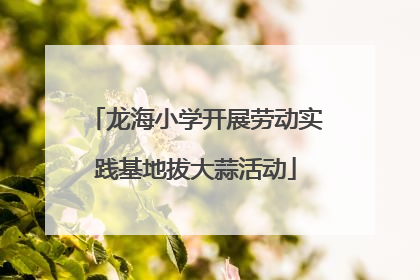 龙海小学开展劳动实践基地拔大蒜活动