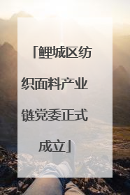 鲤城区纺织面料产业链党委正式成立