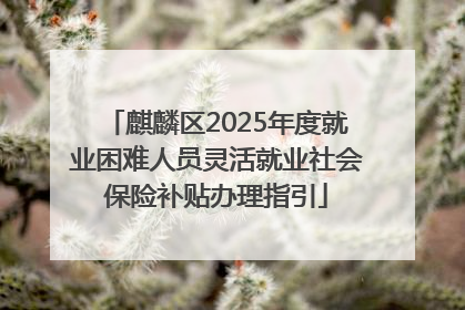 麒麟区2025年度就业困难人员灵活就业社会保险补贴办理指引