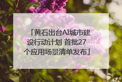黄石出台AI城市建设行动计划 首批27个应用场景清单发布