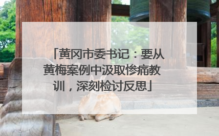 黄冈市委书记：要从黄梅案例中汲取惨痛教训，深刻检讨反思