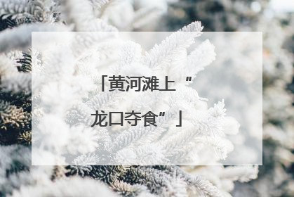 黄河滩上“龙口夺食”