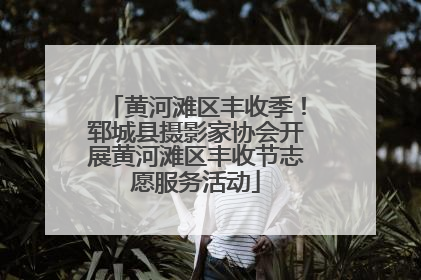 黄河滩区丰收季！郓城县摄影家协会开展黄河滩区丰收节志愿服务活动