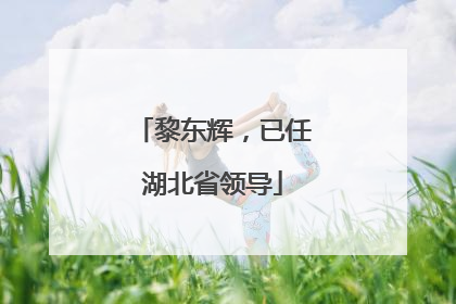 黎东辉，已任湖北省领导