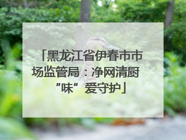黑龙江省伊春市市场监管局：净网清厨 “味”爱守护