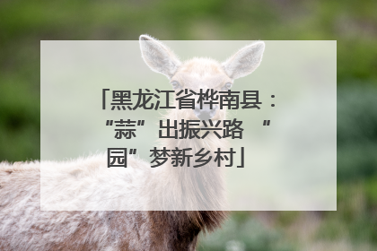 黑龙江省桦南县：“蒜”出振兴路 “园”梦新乡村