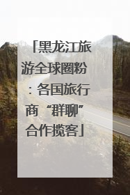 黑龙江旅游全球圈粉：各国旅行商“群聊”合作揽客