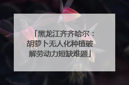 黑龙江齐齐哈尔：胡萝卜无人化种植破解劳动力短缺难题