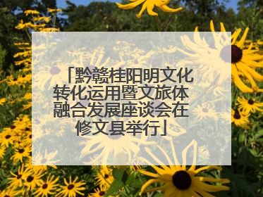 黔赣桂阳明文化转化运用暨文旅体融合发展座谈会在修文县举行