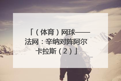 （体育）网球——法网：辛纳对阵阿尔卡拉斯（2）