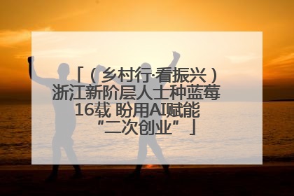 （乡村行·看振兴）浙江新阶层人士种蓝莓16载 盼用AI赋能“二次创业”