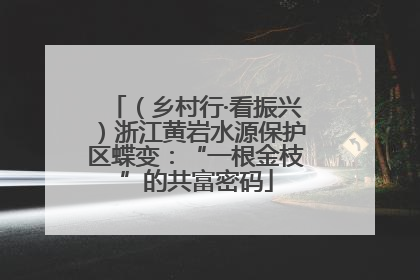 （乡村行·看振兴）浙江黄岩水源保护区蝶变：“一根金枝”的共富密码