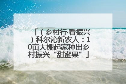 （乡村行·看振兴）科尔沁新农人：10亩大棚起家种出乡村振兴“甜蜜果”
