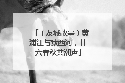 （友城故事）黄浦江与默西河，廿六春秋共潮声