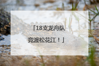 18支龙舟队竞渡松花江！