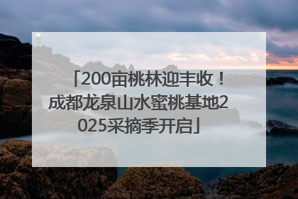 200亩桃林迎丰收！成都龙泉山水蜜桃基地2025采摘季开启