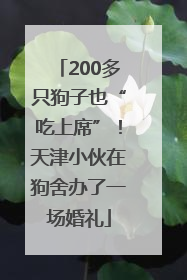 200多只狗子也“吃上席”！天津小伙在狗舍办了一场婚礼