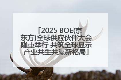 2025 BOE(京东方)全球供应伙伴大会隆重举行 共筑全球显示产业共生共赢新格局