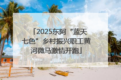 2025东阿“蓝天七色”乡村振兴职工黄河微马激情开跑