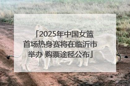 2025年中国女篮首场热身赛将在临沂市举办 购票途径公布