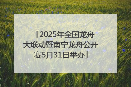 2025年全国龙舟大联动暨南宁龙舟公开赛5月31日举办