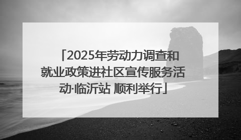 2025年劳动力调查和就业政策进社区宣传服务活动·临沂站 顺利举行