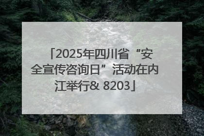 2025年四川省“安全宣传咨询日”活动在内江举行& 8203