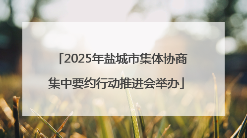 2025年盐城市集体协商集中要约行动推进会举办