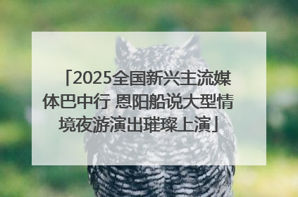 2025全国新兴主流媒体巴中行 恩阳船说大型情境夜游演出璀璨上演