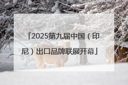 2025第九届中国（印尼）出口品牌联展开幕