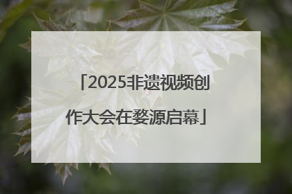 2025非遗视频创作大会在婺源启幕
