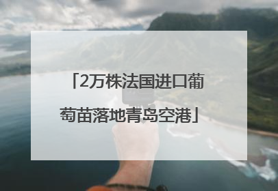 2万株法国进口葡萄苗落地青岛空港
