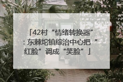 42村“情绪转换器”：东棘坨镇综治中心把“红脸”调成“笑脸”