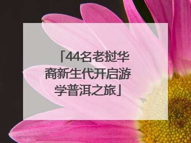 44名老挝华裔新生代开启游学普洱之旅