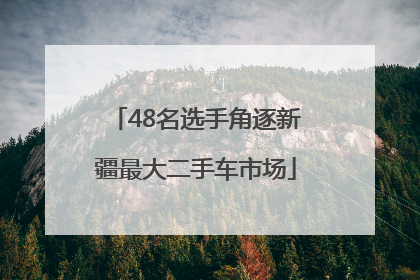 48名选手角逐新疆最大二手车市场