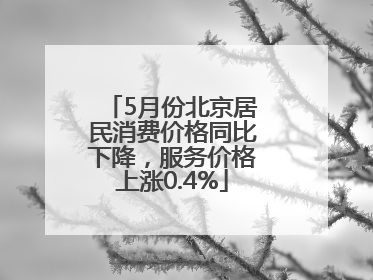 5月份北京居民消费价格同比下降，服务价格上涨0.4%