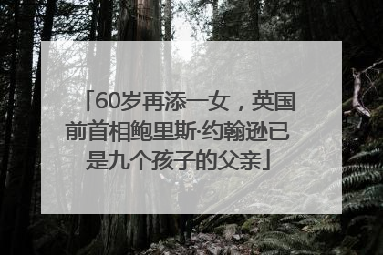 60岁再添一女，英国前首相鲍里斯·约翰逊已是九个孩子的父亲