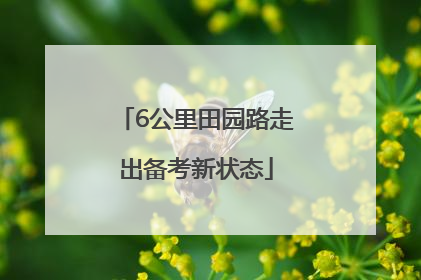6公里田园路走出备考新状态