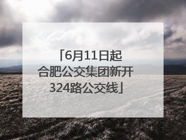 6月11日起 合肥公交集团新开324路公交线