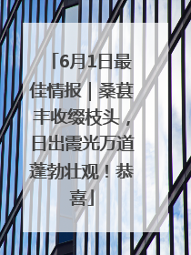 6月1日最佳情报｜桑葚丰收缀枝头，日出霞光万道蓬勃壮观！恭喜