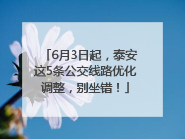 6月3日起，泰安这5条公交线路优化调整，别坐错！