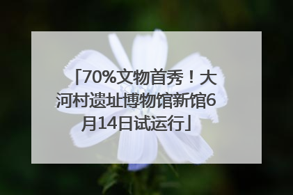70%文物首秀！大河村遗址博物馆新馆6月14日试运行
