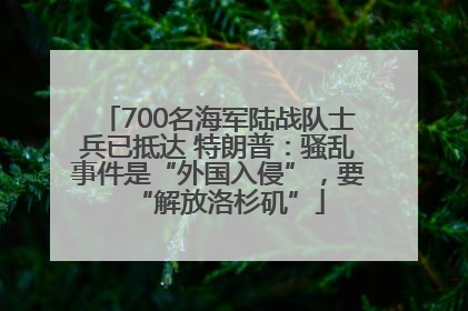 700名海军陆战队士兵已抵达 特朗普：骚乱事件是“外国入侵”，要“解放洛杉矶”