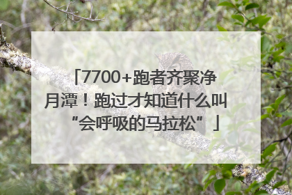 7700+跑者齐聚净月潭！跑过才知道什么叫“会呼吸的马拉松”