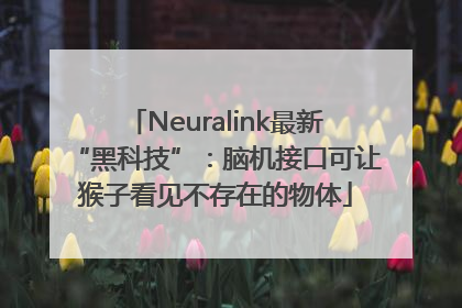 Neuralink最新“黑科技”：脑机接口可让猴子看见不存在的物体